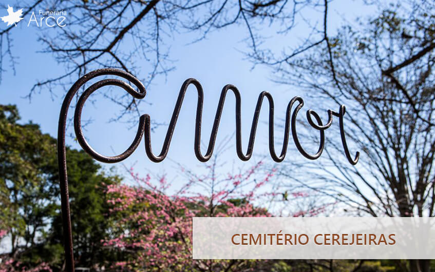 Cemitério Cerejeiras