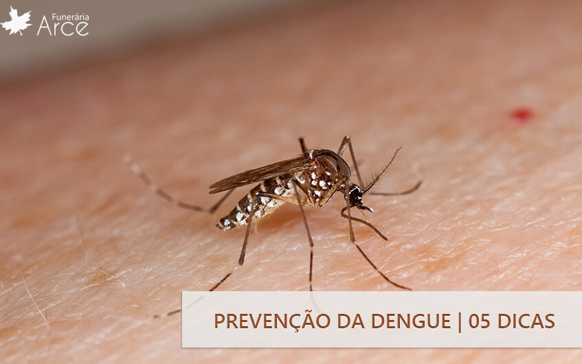 Prevenção da dengue